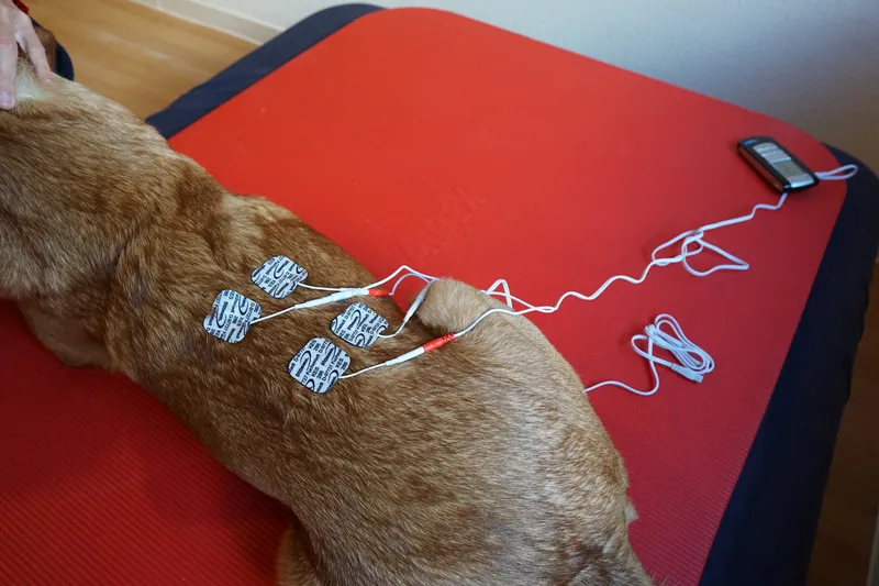 Elektrotherapie