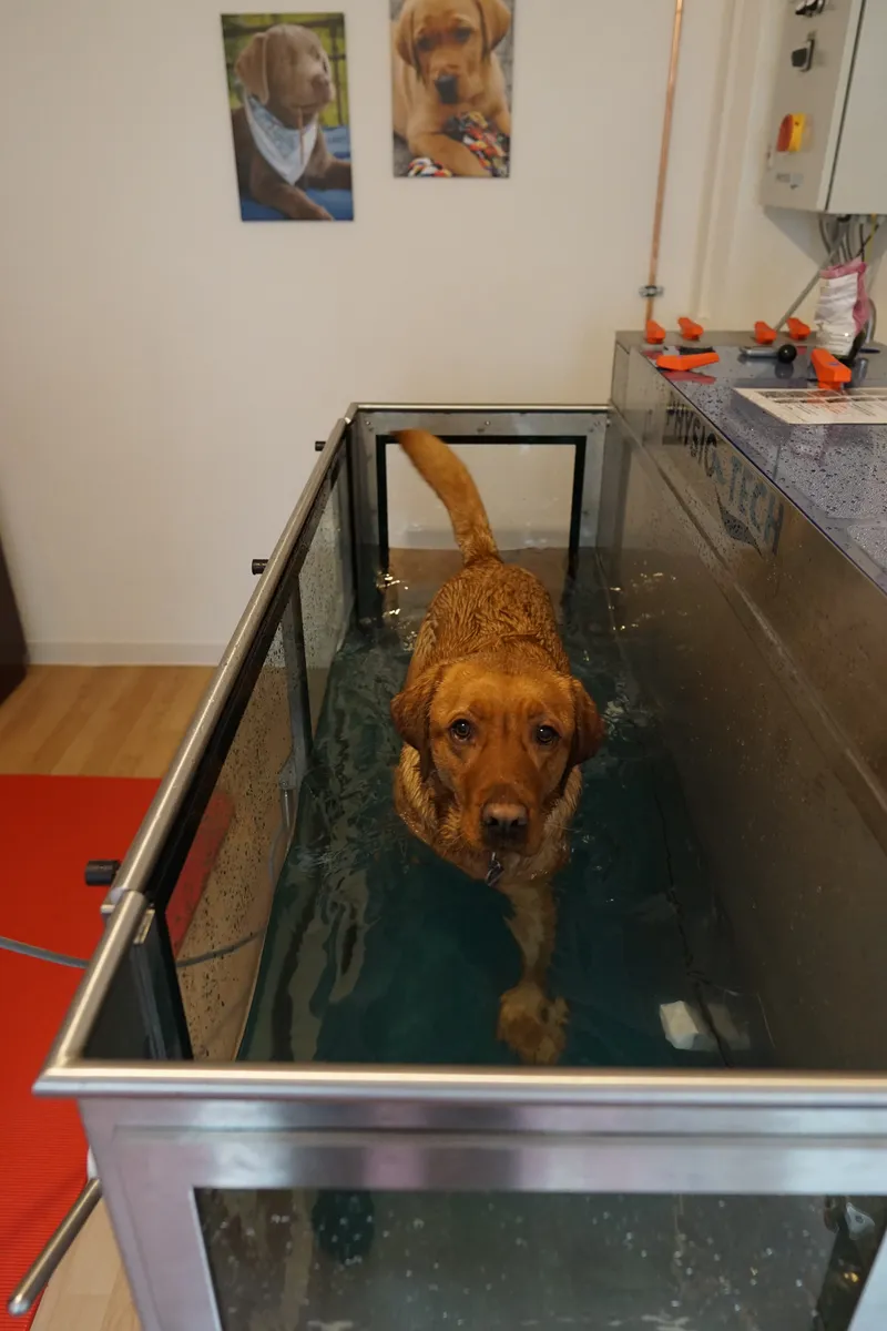 Unterwasserlaufband Vorne
