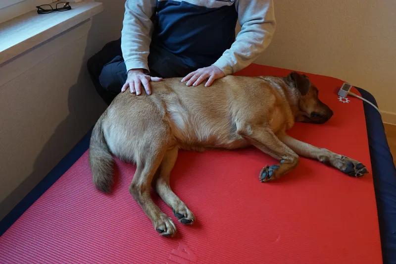 Massage